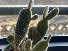 -三忘湖 SWANSEEN(柳荫公园店)