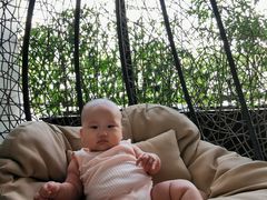 -水月周庄铂尔曼酒店-水月荟中餐厅