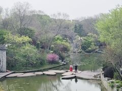 -朴园