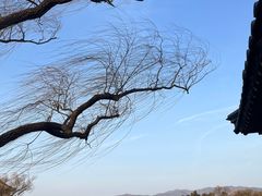 -颐和园