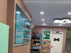 -天使宠物医院·犬猫分诊(彩虹店)