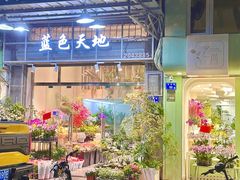 -溪岸路花鸟市场