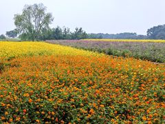 -江苏三台山国家森林公园