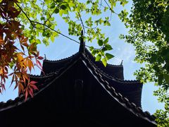 -杭州半山国家森林公园