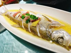 白水鱼-一麦·龙岛(上海青浦店)