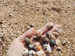 -大梅沙海滨公园