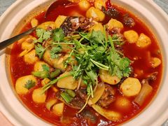 土豆烧甲鱼-高坎一品甲鱼庄(两河店)