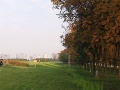 -汉长安城未央宫国家考古遗址公园