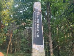 -青龙山国家森林公园
