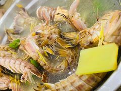 盐水濑尿虾-贞姨美食·老字号海鲜大排档