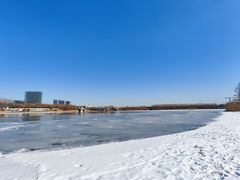 -大兴滨河森林公园