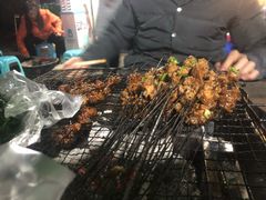 -杨婆婆烤肉(文昌阁店)