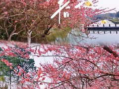 -白塘生态植物园
