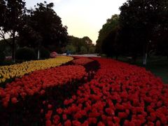 -上海鲜花港