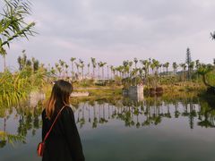 -枫香湖儿童公园