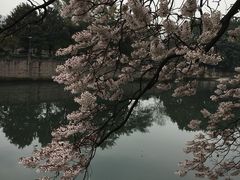-成都市活水公园