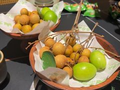 -季季山·云南野生菌火锅(上海首店)