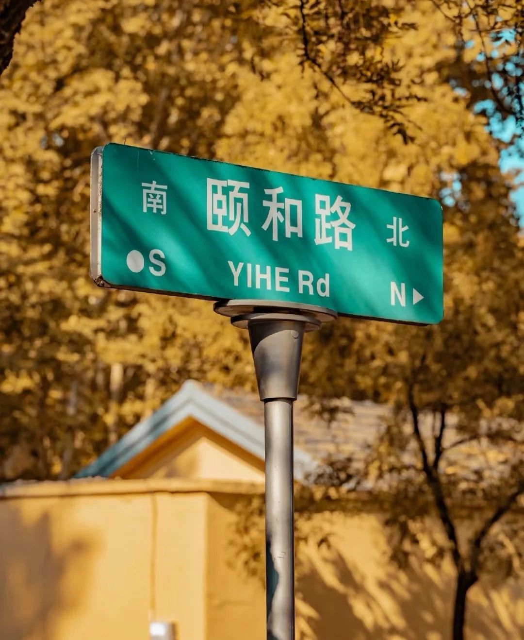 春节版颐和路上线!