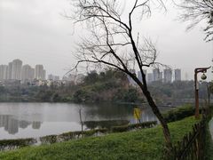 -重庆彩云湖湿地公园