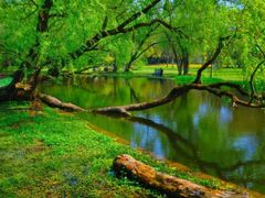 -上海共青森林公园