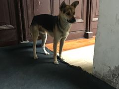 -西汇饭店(甪直店)