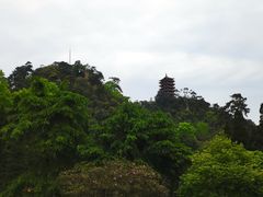 -缙云山景区