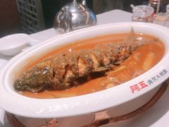 -阿五黄河大鲤鱼(纬三路店)