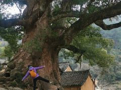 -杨家堂村