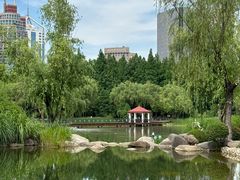 -新虹桥中心花园