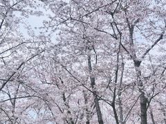 -龙美术馆(西岸馆)