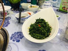 养生枸杞苗-老毛手抓·盐池滩羊非遗手抓(宁夏总店)