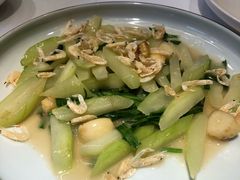 蒲瓜-信园