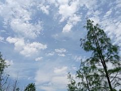 -青山湖景区