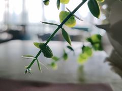 -和苑酒家·一线江景(星寰店)