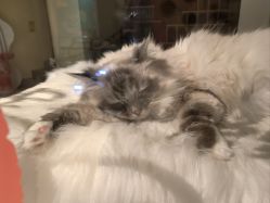 -MASTER COOL舞蹈工作室