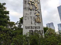 -深圳湾公园(南山区)