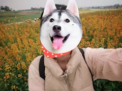 -白鹭湾湿地公园