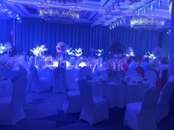 -曼格纳婚礼艺术中心(张江店)