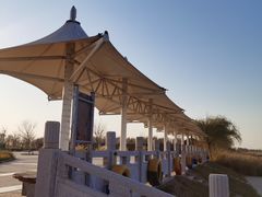 -南大港湿地风景区