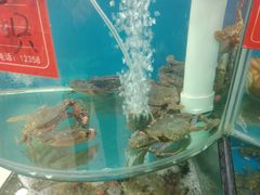 -聚德福海鲜家常菜(刘庄店)