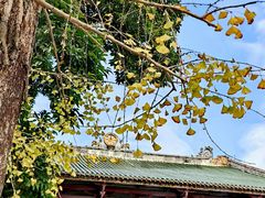 -南华禅寺