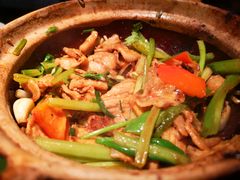 啫啫五花肉-煲煲好(朝阳门店)