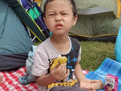 -春花秋色城市公园