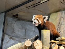 -Zoolung Zoolung动物主题公园(海信广场店)