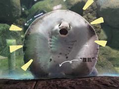 -苏州海洋馆