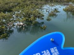 -北海金海湾红树林生态旅游区