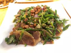 -鸽王世家(东华东路店)