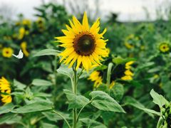 -泉州海丝野生动物世界