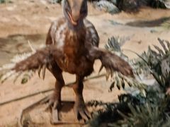 -安徽省地质博物馆