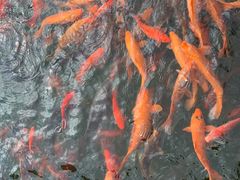 -威海华夏城景区